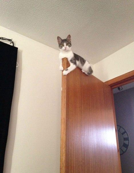 pic