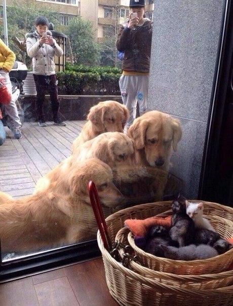 pic