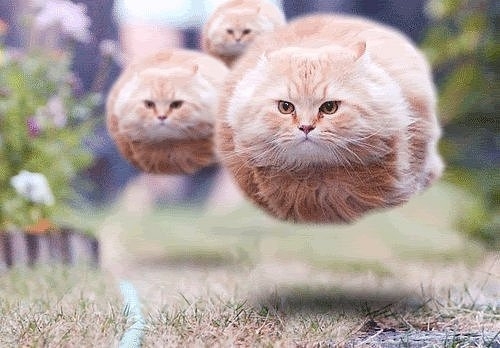 pic