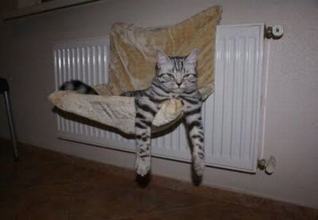 pic