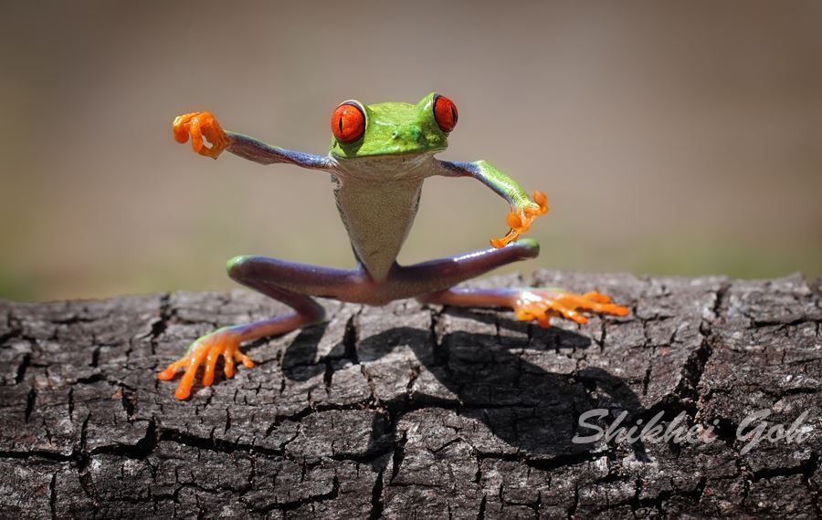pic