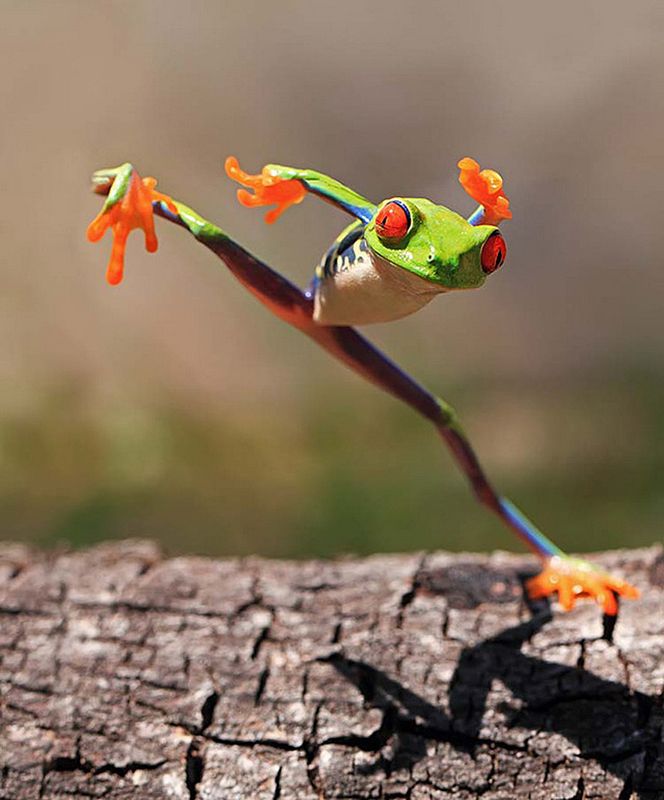 pic
