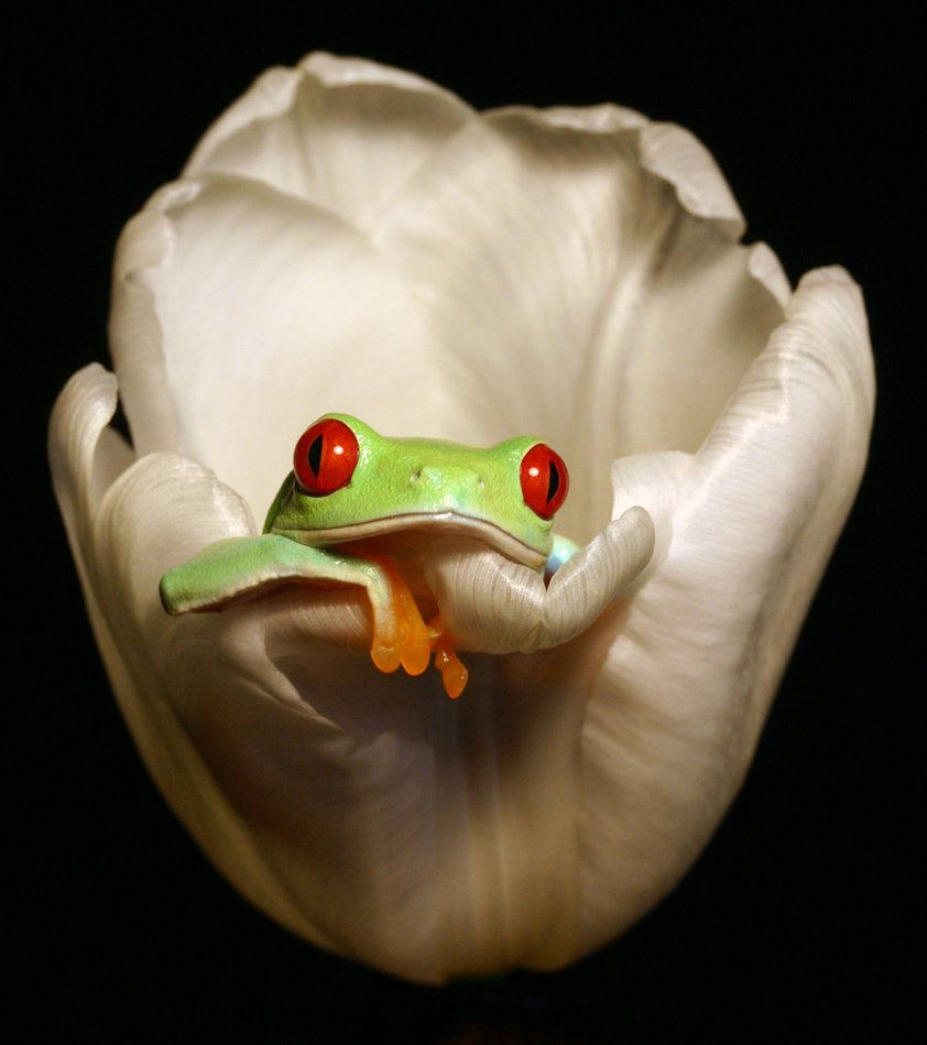pic