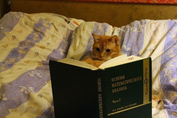 pic