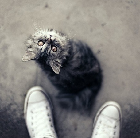 pic