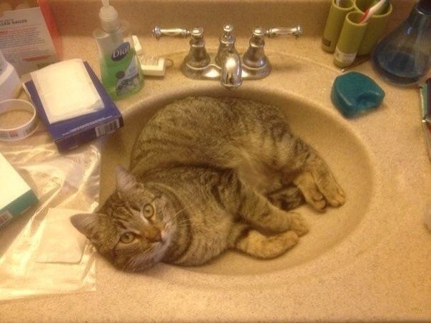 pic