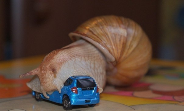 pic
